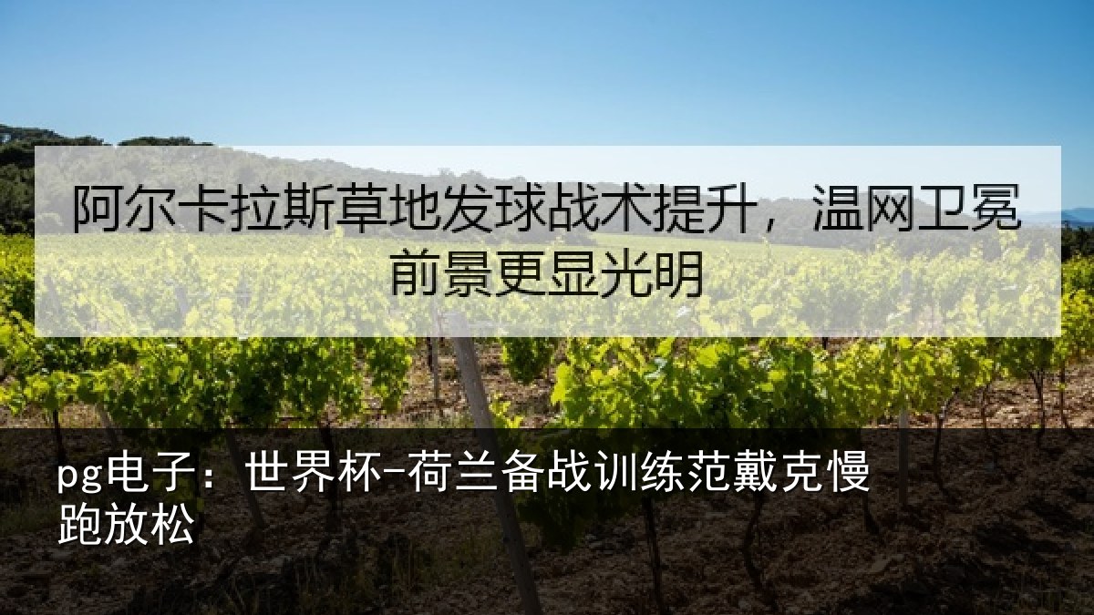pg电子:世界杯-荷兰备战训练范戴克慢跑放松