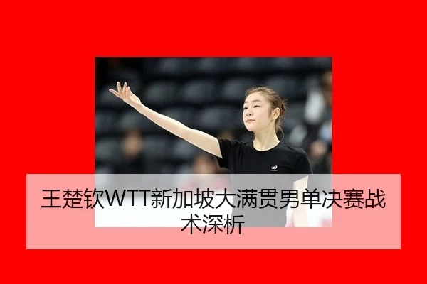 王楚钦WTT新加坡大满贯男单决赛战术深析