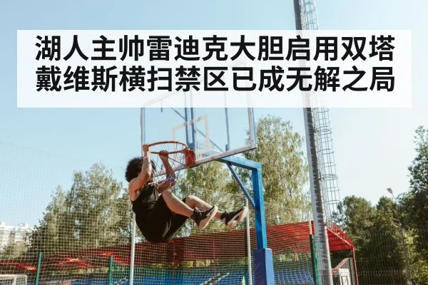 湖人主帅雷迪克大胆启用双塔戴维斯横扫禁区已成无解之局